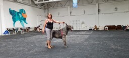 Training in Pezinok 2021